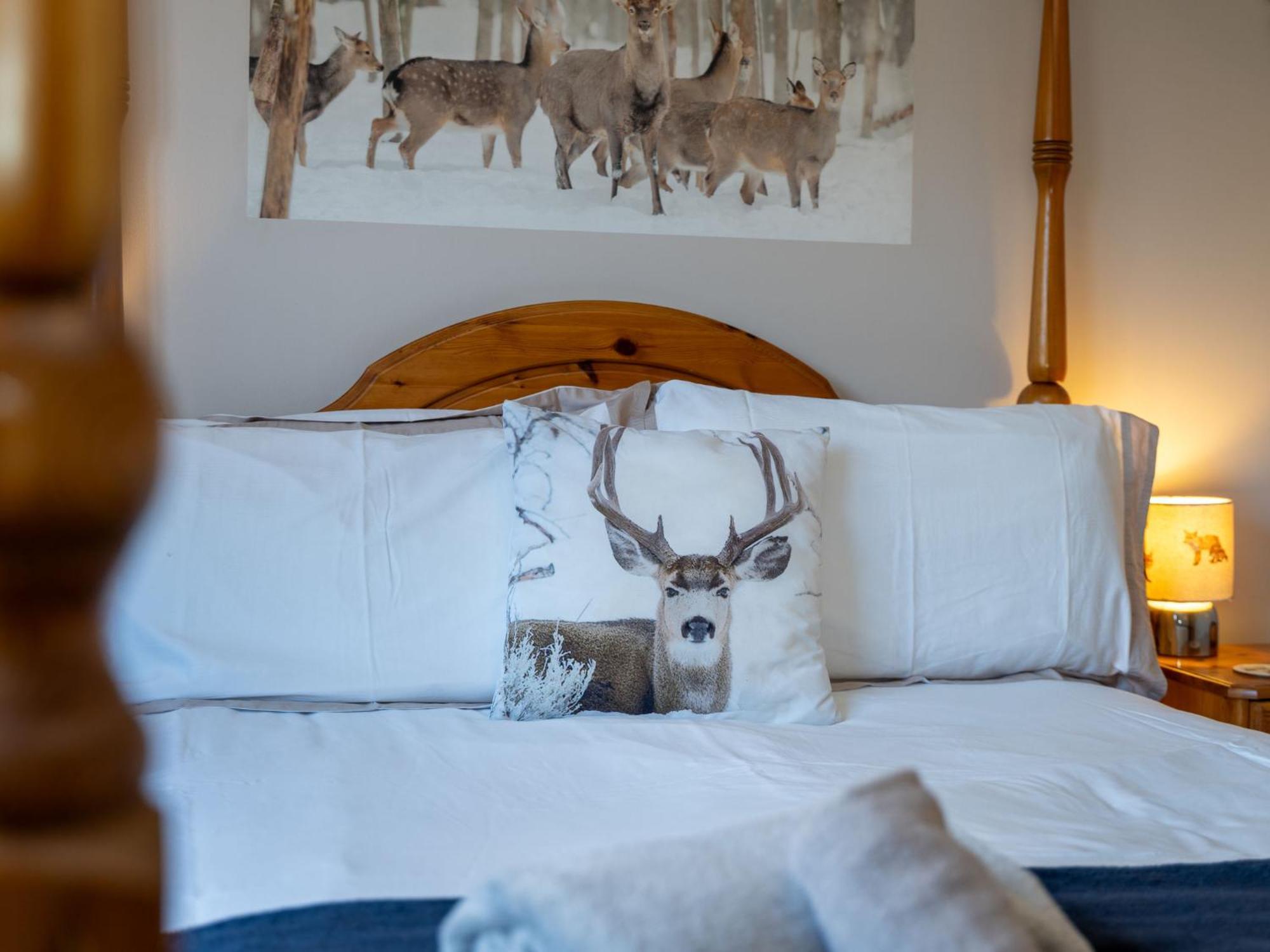 Braeriach By Interhome Aviemore